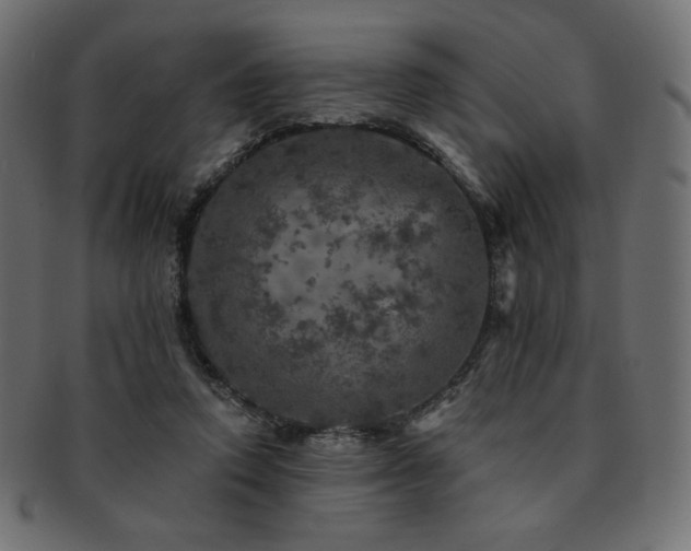 X0000093130354200709261353