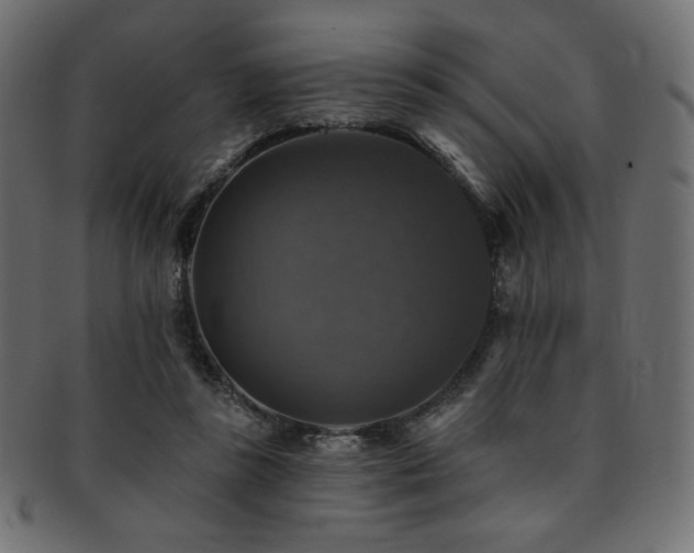 X0000093130355200709261353