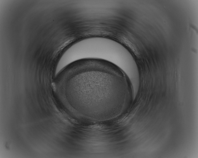 X0000093130356200709261353
