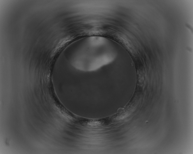 X0000093130357200709261353