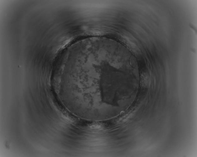 X0000093130358200709261353