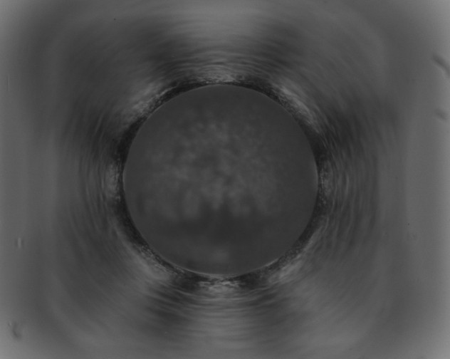 X0000093130359200709261353