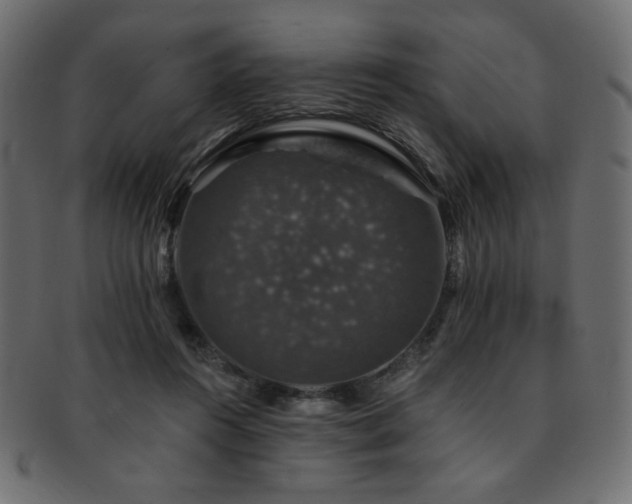 X0000093130360200709261353