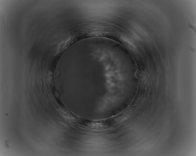 X0000093130361200709261353
