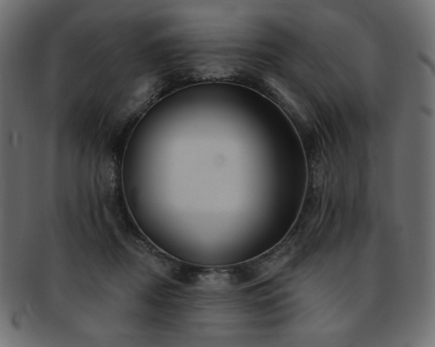 X0000093130362200709261353
