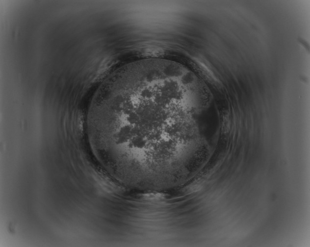 X0000093130363200709261353