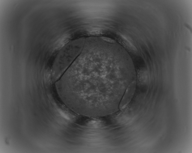X0000093130364200709261353