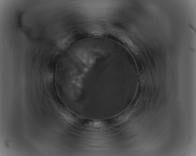 X0000093130365200709261353