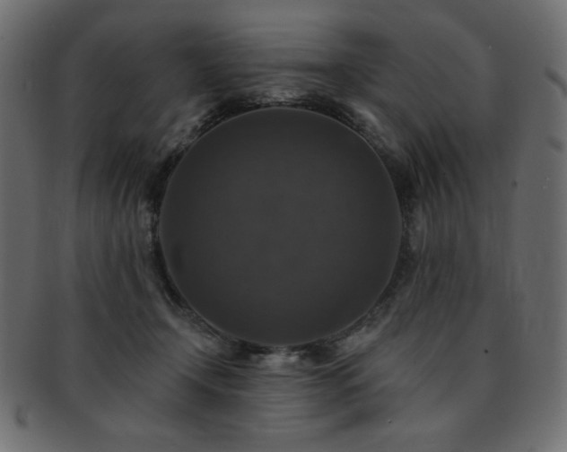 X0000093130366200709261353