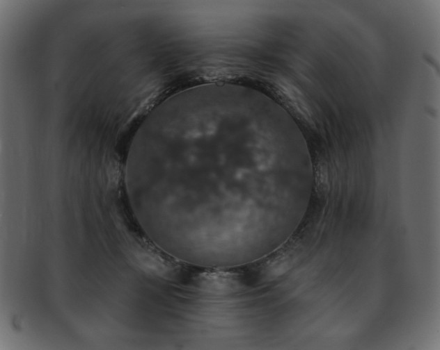 X0000093130367200709261353
