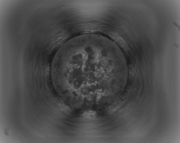 X0000093130369200709261353