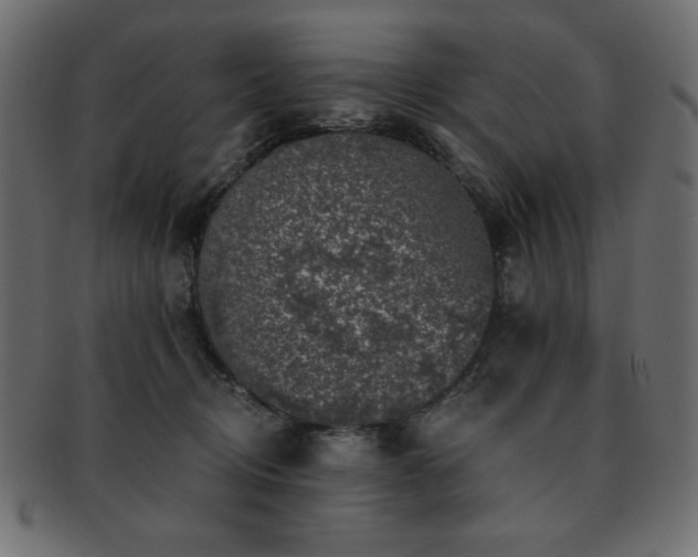 X0000093130370200709261353