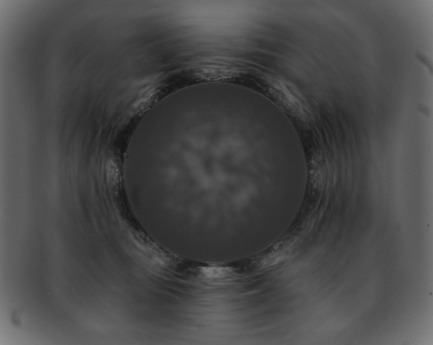 X0000093130371200709261353