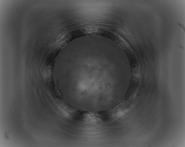 X0000093130372200709261353