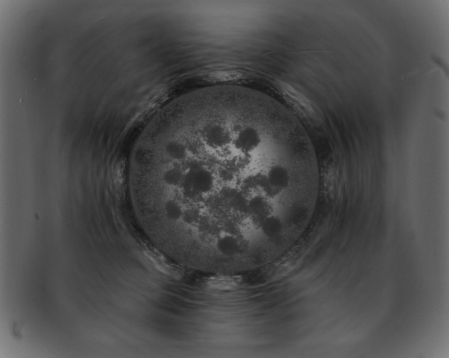 X0000093130373200709261353