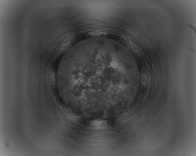 X0000093130375200709261353