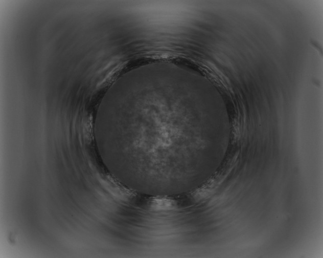 X0000093130376200709261353