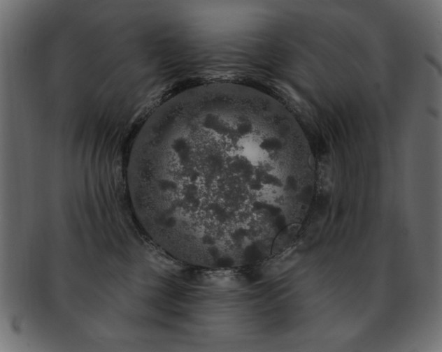X0000093130377200709261353