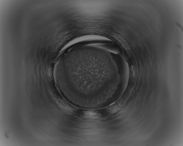 X0000093130380200709261353