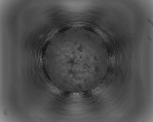 X0000093130381200709261353