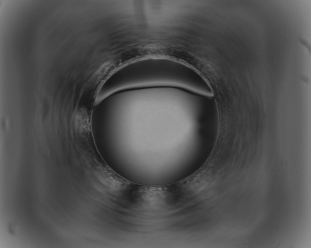 X0000093130384200709261353