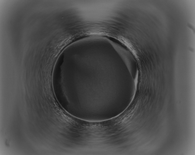 X0000093130385200709261353