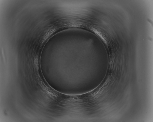X0000093130386200709261353