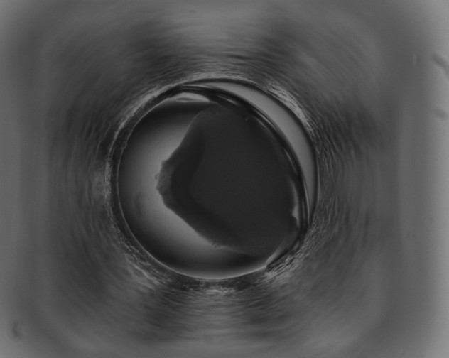 X0000093130387200709261353