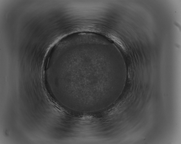 X0000093130388200709261353