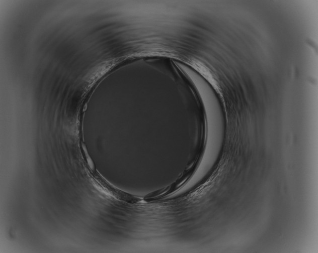 X0000093130389200709261353