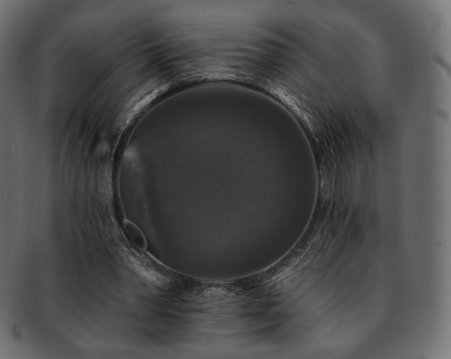 X0000093130390200709261353
