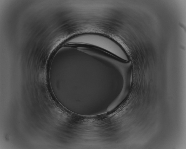 X0000093130391200709261353