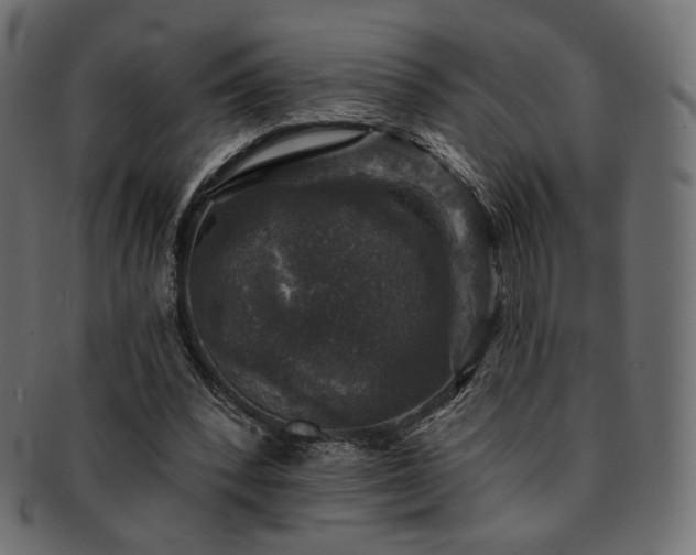 X0000093130392200709261353
