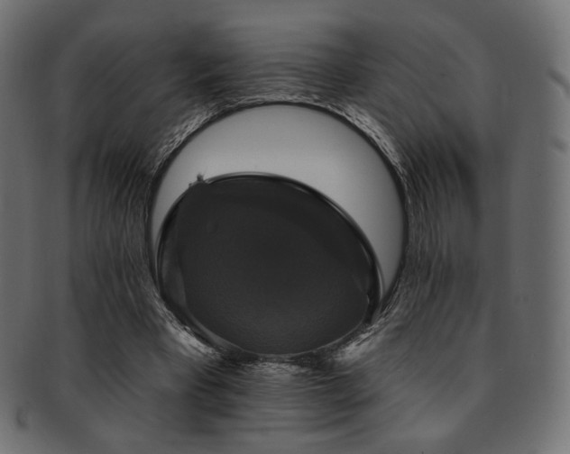 X0000093130393200709261352