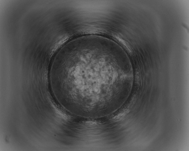 X0000093130394200709261352