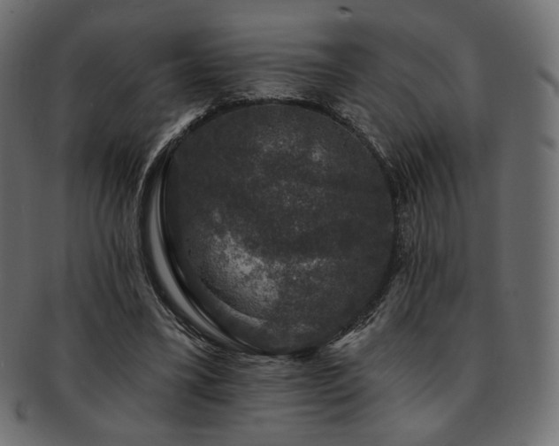 X0000093130395200709261352