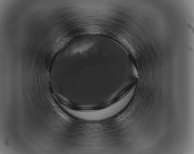 X0000093130397200709261352