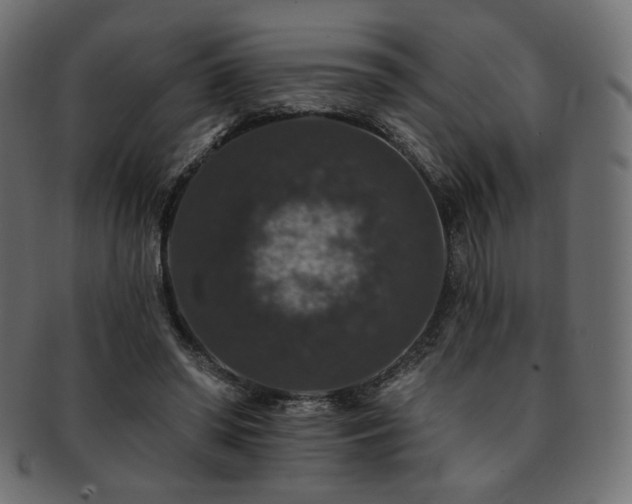 X0000093130398200709261352