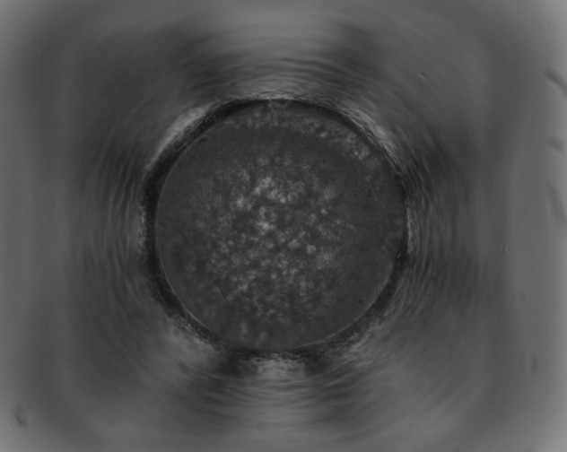 X0000093130400200709261352