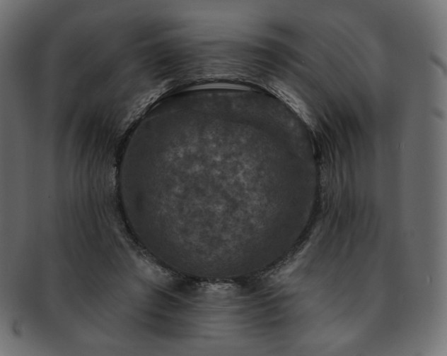 X0000093130401200709261352