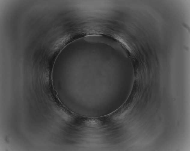 X0000093130402200709261352