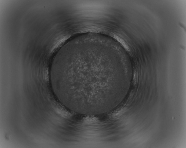 X0000093130403200709261352