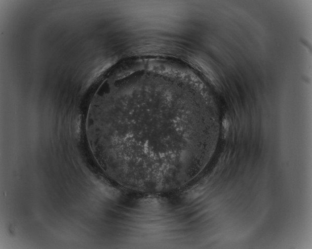X0000093130404200709261352