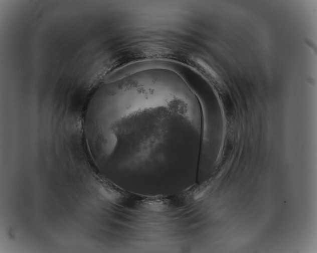 X0000093130405200709261352