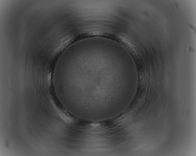 X0000093130406200709261352