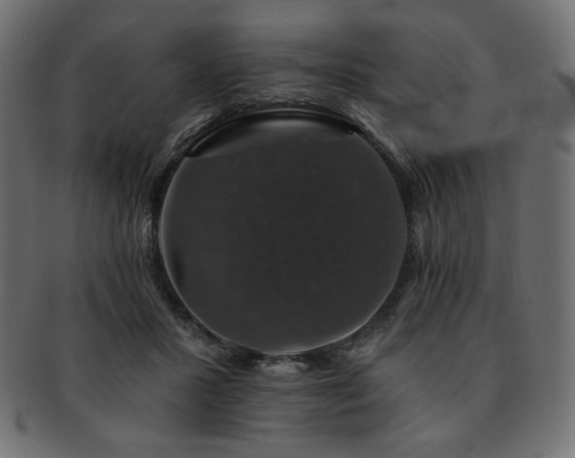 X0000093130407200709261352