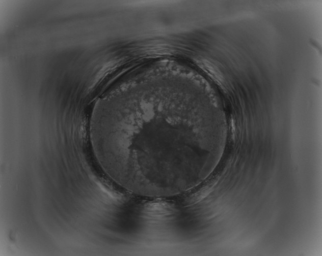 X0000093130408200709261352