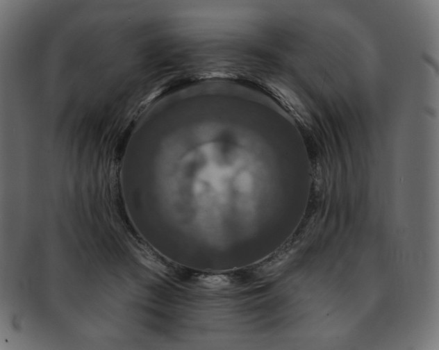 X0000093130409200709261352