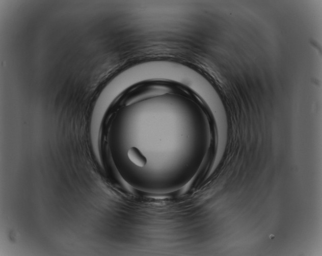 X0000093130411200709261352