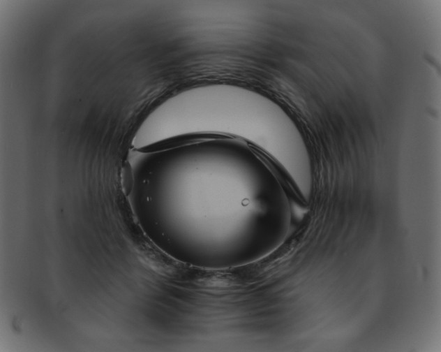 X0000093130412200709261352